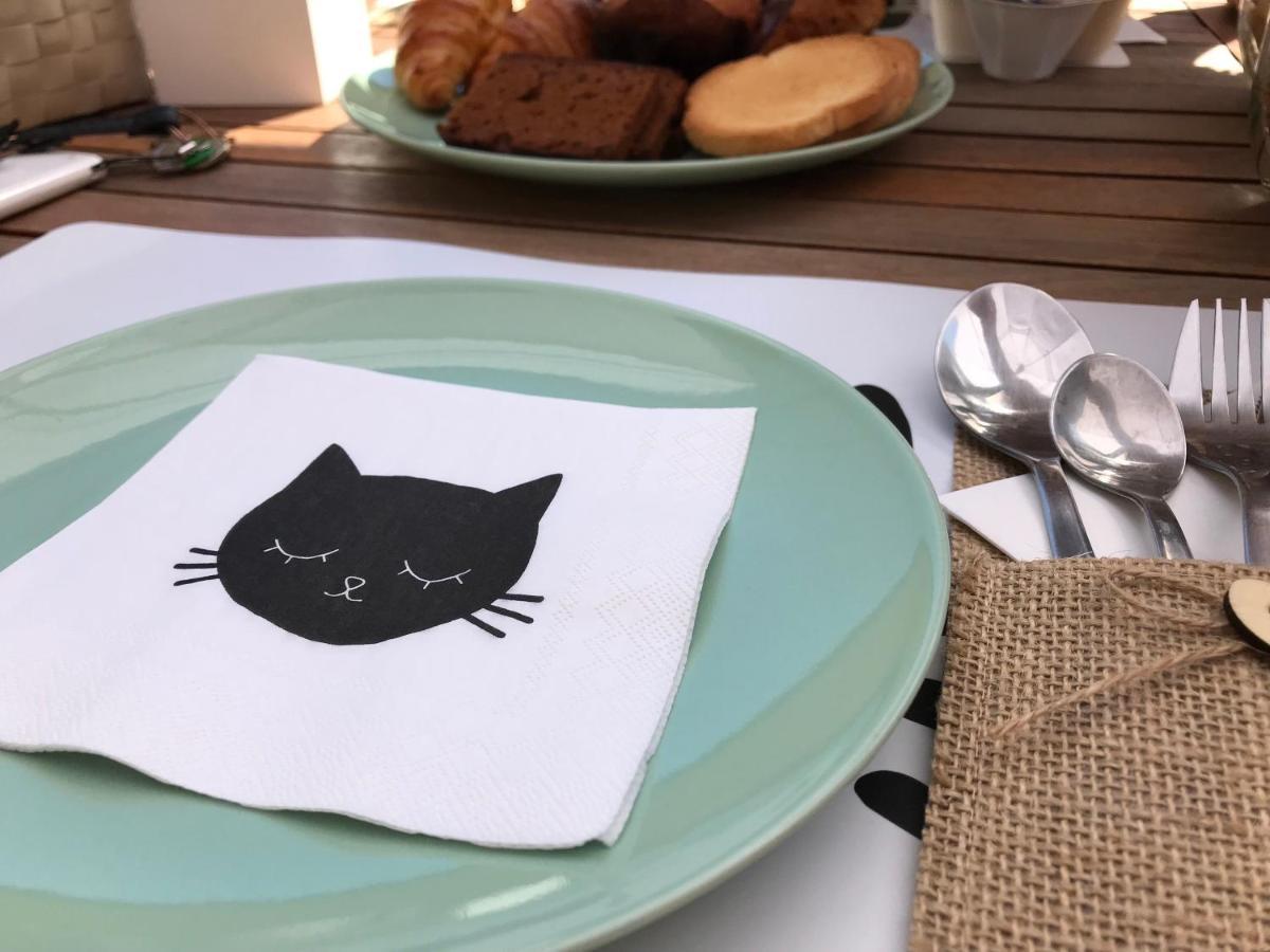Il Gatto Stanco B&B Arona Exteriör bild